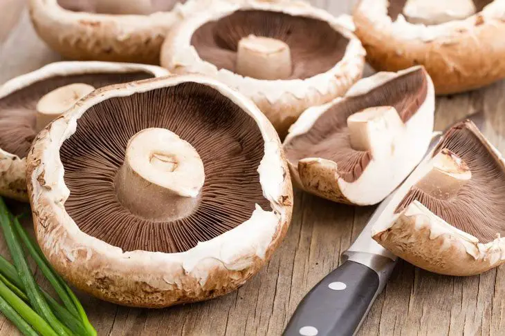 how many calories in mushrooms