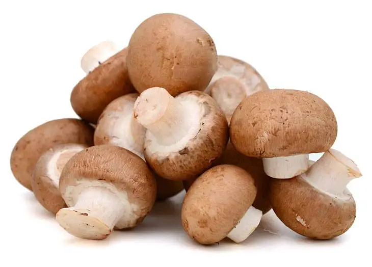 how many calories in mushrooms 006