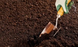 soil vs dirt - soil