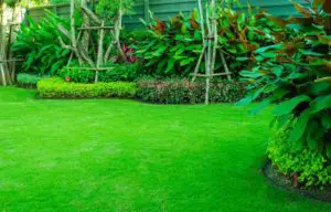 how to compact soil - lawn