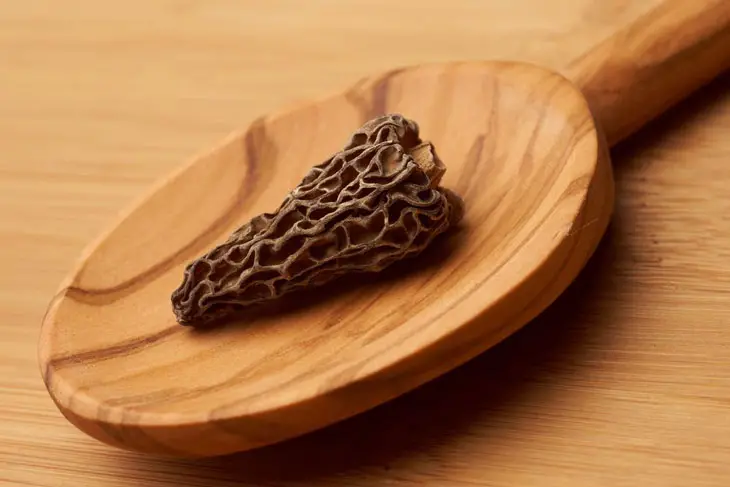 how to dry morel mushrooms 003