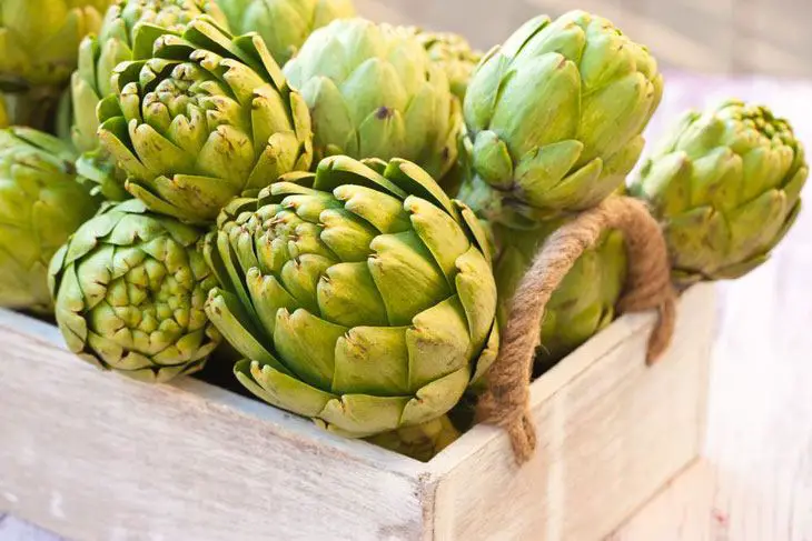 how to grow artichokes from seed 001