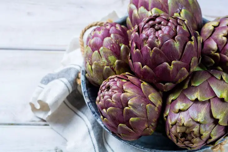how to grow artichokes from seed 002