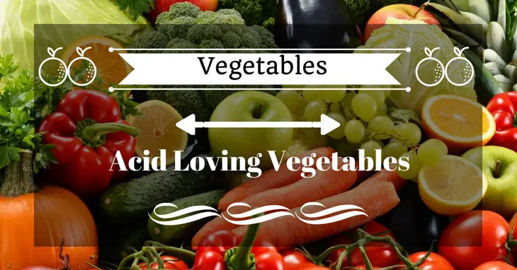 Acid Loving Vegetables