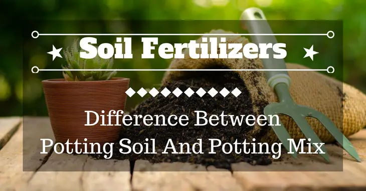 difference between potting soil and potting mix