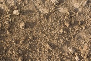 soil vs dirt 001