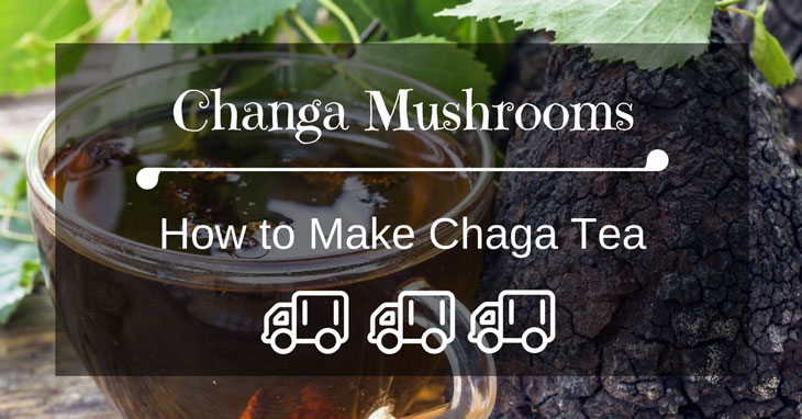How to Make Chaga Tea