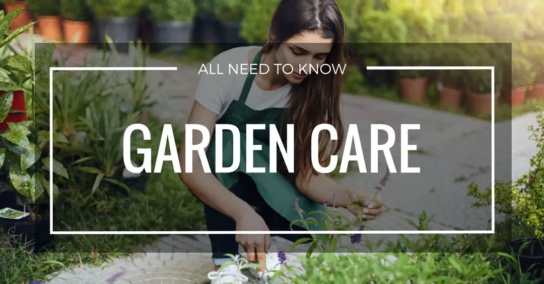 garden care page