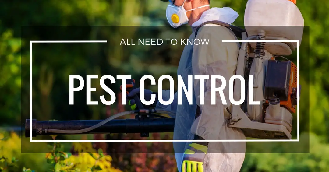 Pest Control Page