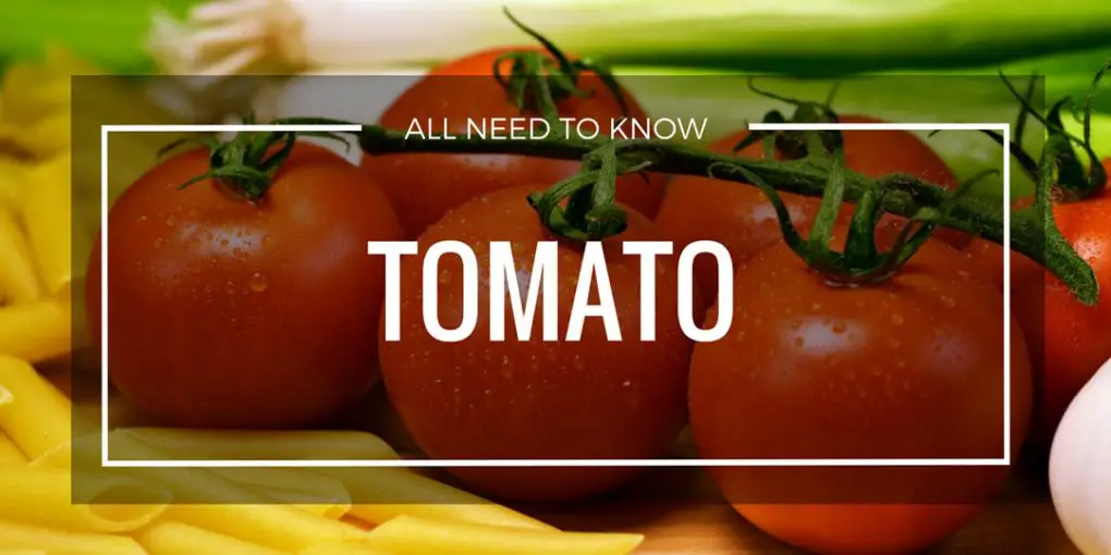 grow tomato page