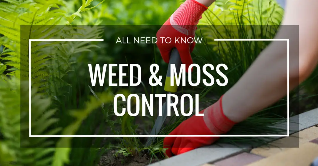 Weed & Moss Control Page