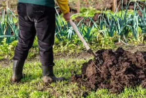 how to prep soil for a vegetable garden - Mix In-Plant Food