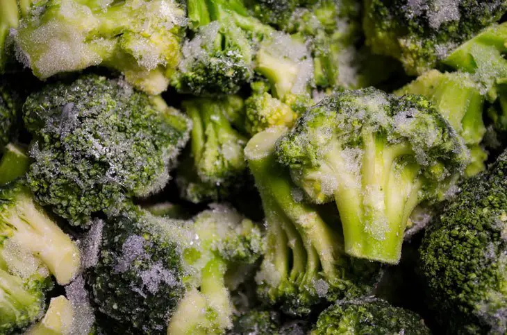 how to store broccoli-Storage by Freezing
