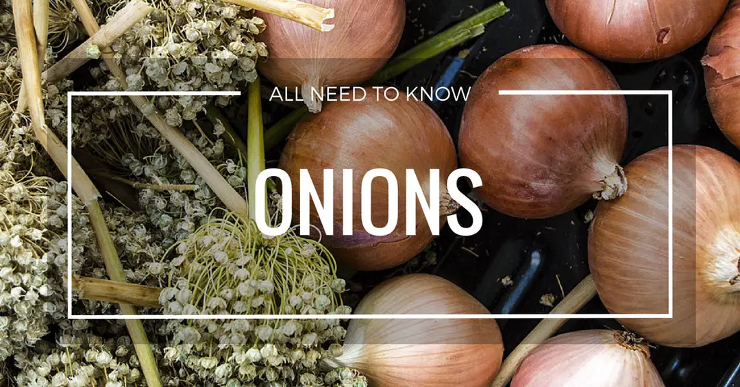 Grow Onions Page