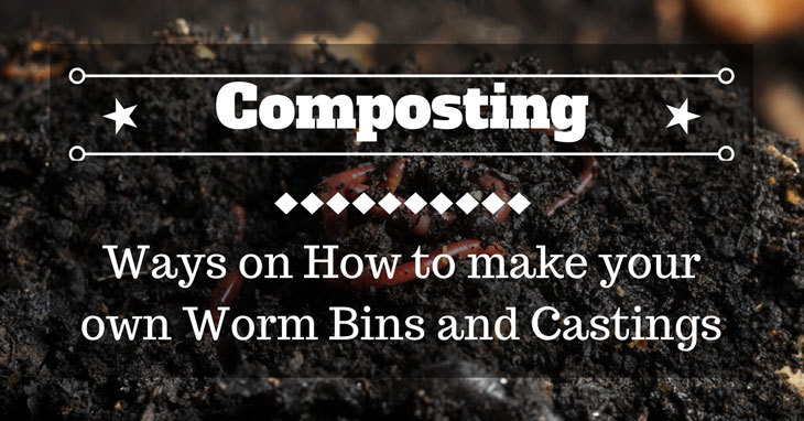 how to make your own worm bins and castings