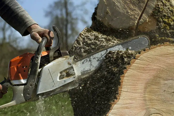 how to remove a tree stump 001