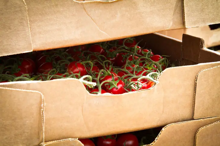 how to ripen tomatoes - Ripening by Cardboard Box