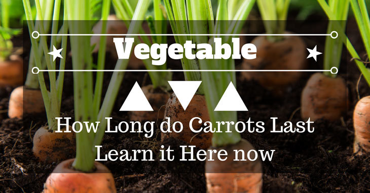 how long do carrots last